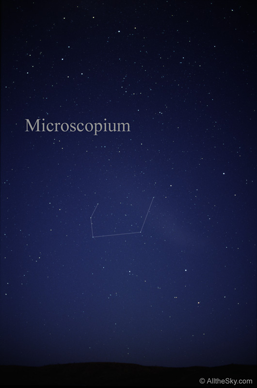 Microscopium