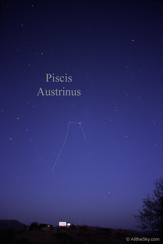 Piscis Austrinus