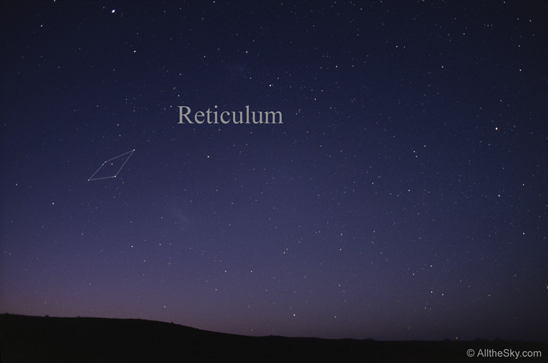 Reticulum