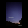 Constellation Canis Minor