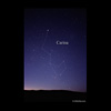 Constellation Carina