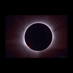 Go to the newest image!