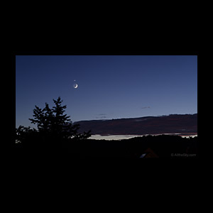 Go to the newest image!